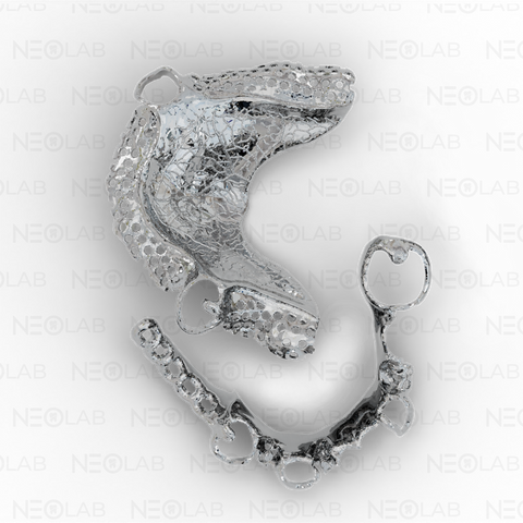 Partial Denture Titanium Grade 4 Mill