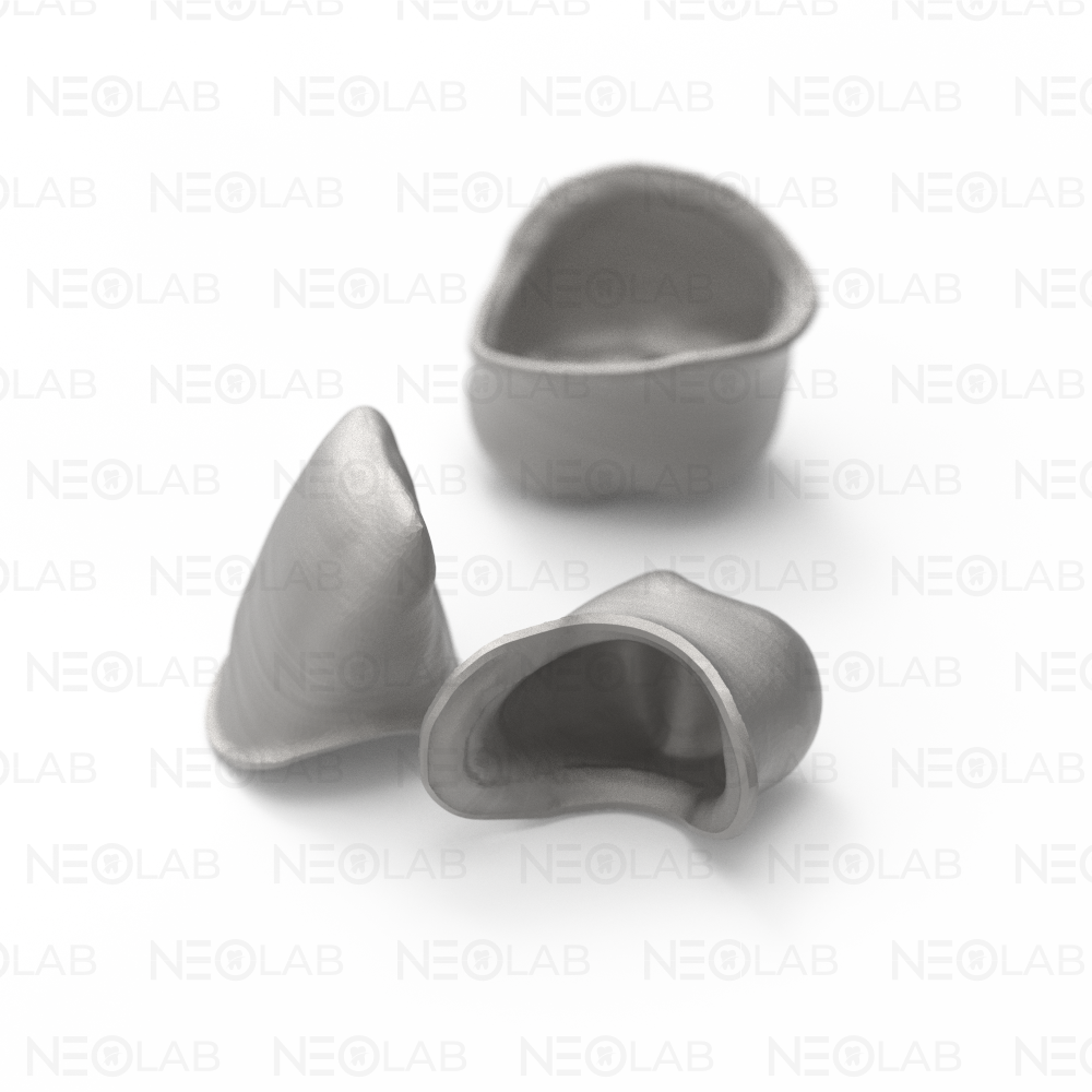 Coping CoCr SLM 3D Print – Neo Lab Milling Center