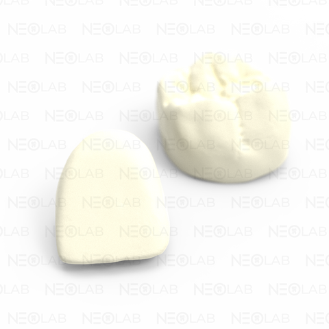 Crown Temporary mSLA 3D Print
